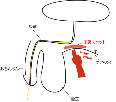 玉裏スポットをプッシュする図